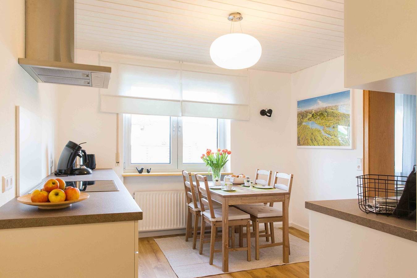 Ganze Wohnung, Ferienwohnung Am Alpenblick, 40qm, Terrasse, 1 Wohn-/Schlafzimmer, max. 2 Personen in Lindau, Bayerisch Schwaben
