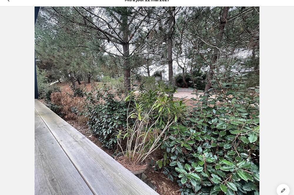Apartamento entero, Charm and wild nature for this apartment with terrace in the middle of the dunes in Lège-Cap-Ferret, Region de Arcachon