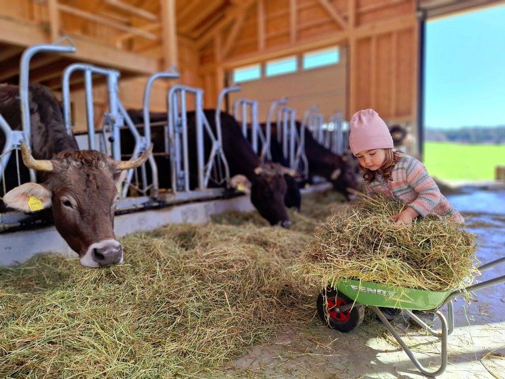 Ferienhof Ücker - Schwalbennest in Waltenhofen, Bayerisch Schwaben
