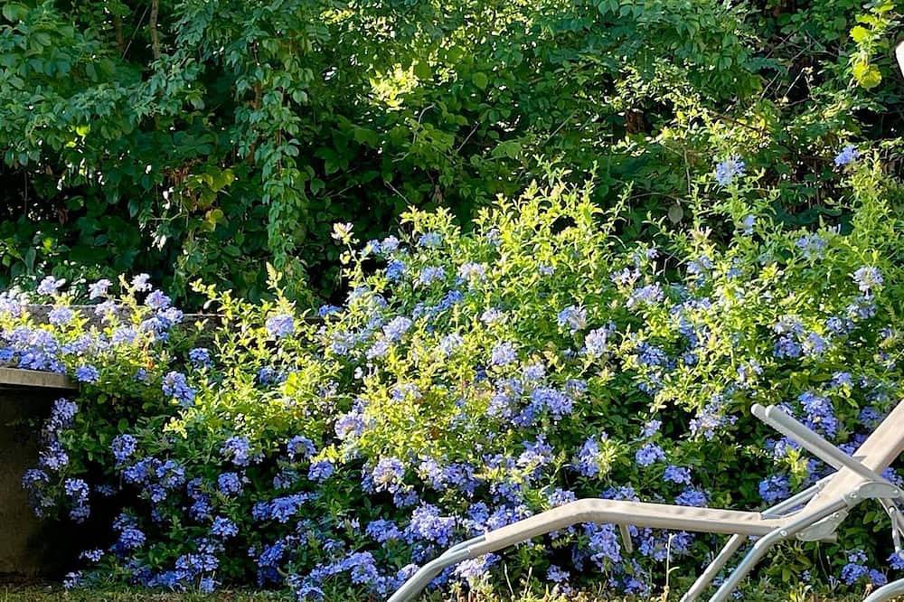 Apartamento entero, Plumbago Blue vicinity Montemarcello Sarzana Lerici Portovenere 5Terre Versilia in Ameglia, Municipio de Ameglia