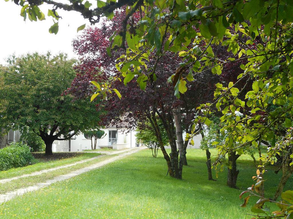 Gite La Haie des Écureuils, au calme à 8 km de Beauval in Thésée, Région de Romorantin-Lanthenay