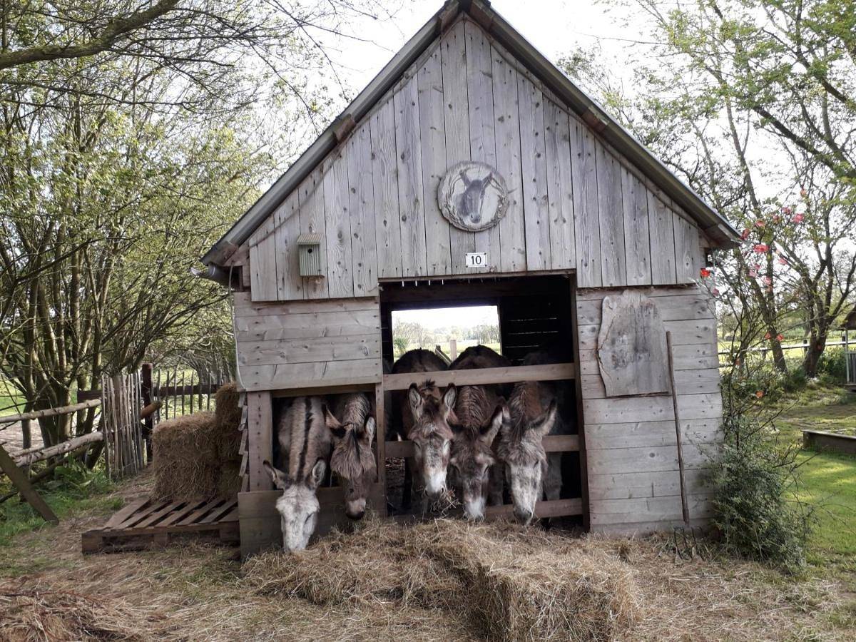 Chambres d'Hôtes Côté Campagne in Vaux-sur-Aure, Région de Bayeux