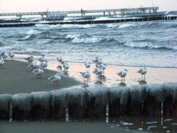 Ferienpark für 5 Personen, mit Terrasse und Garten, kinderfreundlich in Koserow