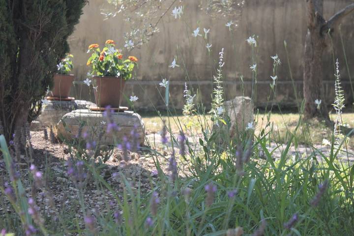 Gîte pour 4 personnes, avec terrasse ainsi que jardin et piscine, animaux acceptés à Saint-Rémy-de-Provence - 4