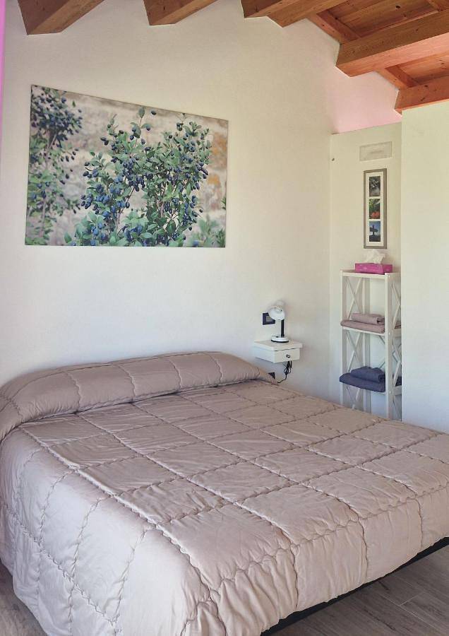 Gîte pour 3 personnes, avec jardin ainsi que piscine et vue, animaux acceptés à Tempio Pausania - 4