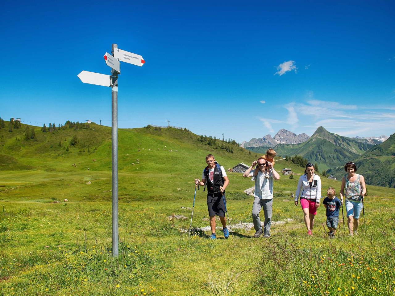 Ganze Ferienwohnung, Appartementhaus Rotwandblick - Hirtamadl in Fontanella, Vorarlberg