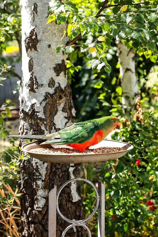 Trimble Cottage in Daylesford, Hepburn Shire