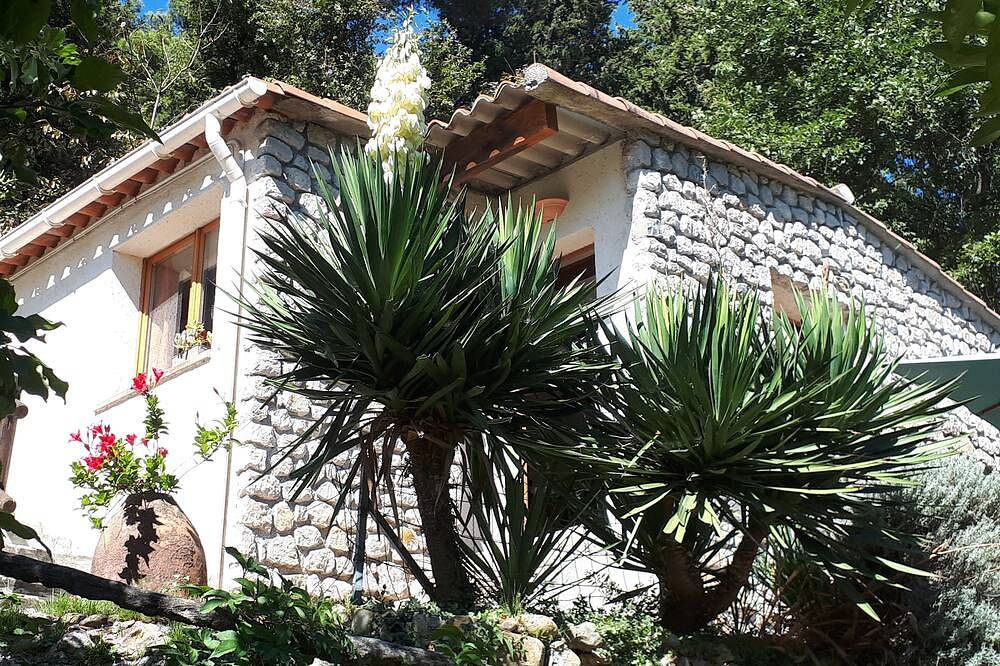 Cottage voor 3 Personen in Roquebrune-Cap-Martin, Nice en omgeving