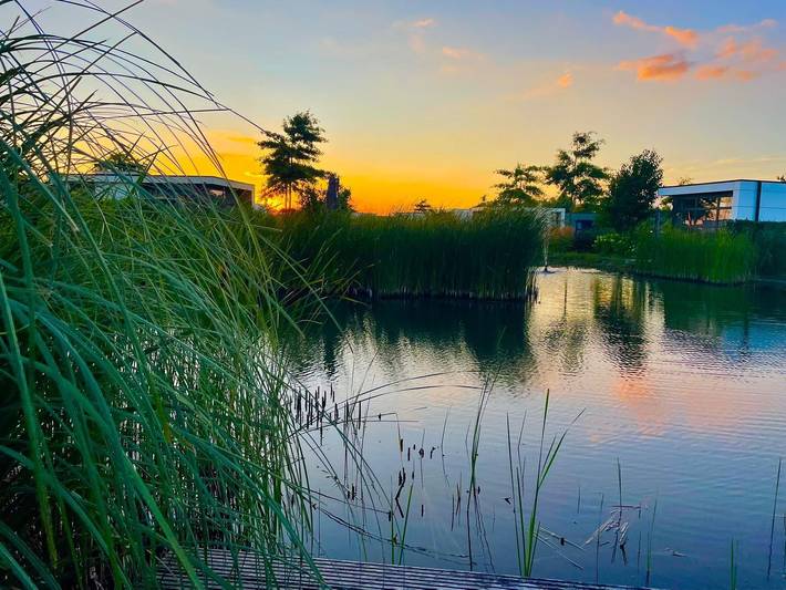 Ferienhaus für 4 Personen, mit Garten und Sauna sowie Pool, mit Haustier in den Niederlande - 3