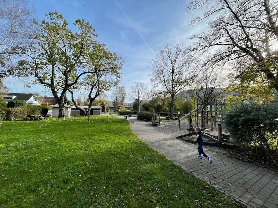 Ganze Wohnung, Das Heim am Rhein in Küssaberg, Landkreis Waldshut
