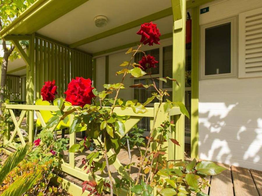 Camping El Far - Bungalow 2 personen - Bungalow sin vistas al mar in Calella, Costa del Maresme