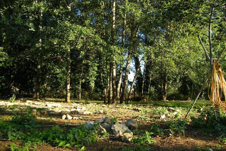Location de vacances pour 2 personnes, avec vue et terrasse ainsi que jardin et piscine, animaux acceptés dans Champsevraine - 3