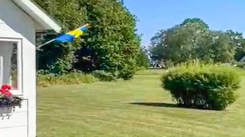 Ferienhaus für 7 Personen, mit Garten, mit Haustier