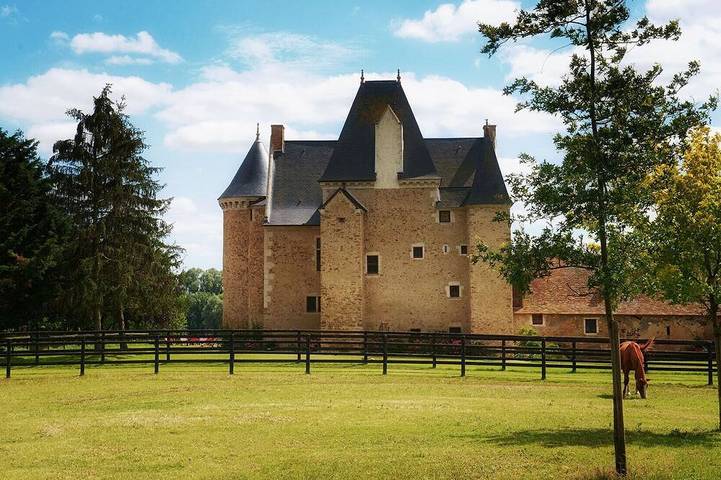 Château pour 8 personnes, avec Jardin dans la Sarthe