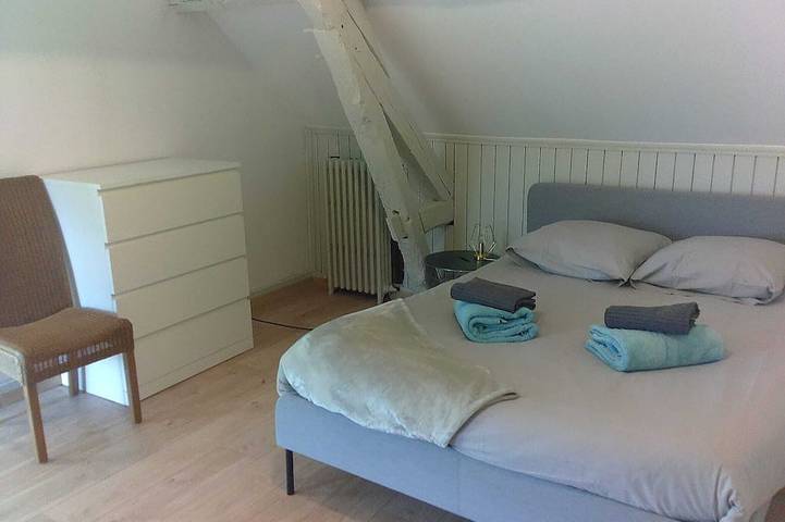 Location de vacances pour 15 personnes, avec Jardin à Coullons - 2