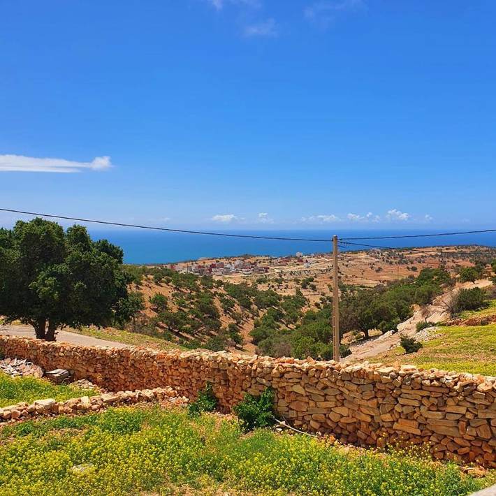 Chambre d’hôte pour 2 personnes, avec jardin à Taghazout (village) - 3