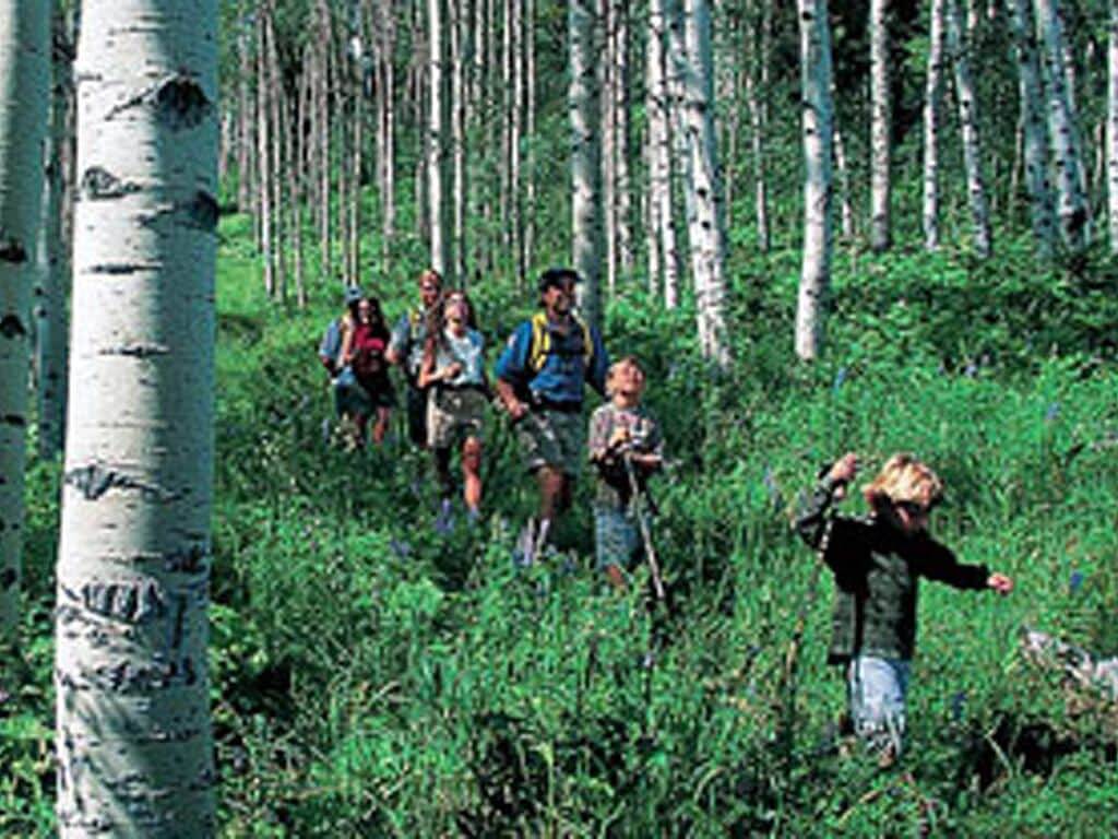 Ganze Wohnung, Bc West # : Deluxe 2Br Condo w / Free Skier Shuttle, beheizter Pool, Hot Tubs in Avon, Beaver Creek