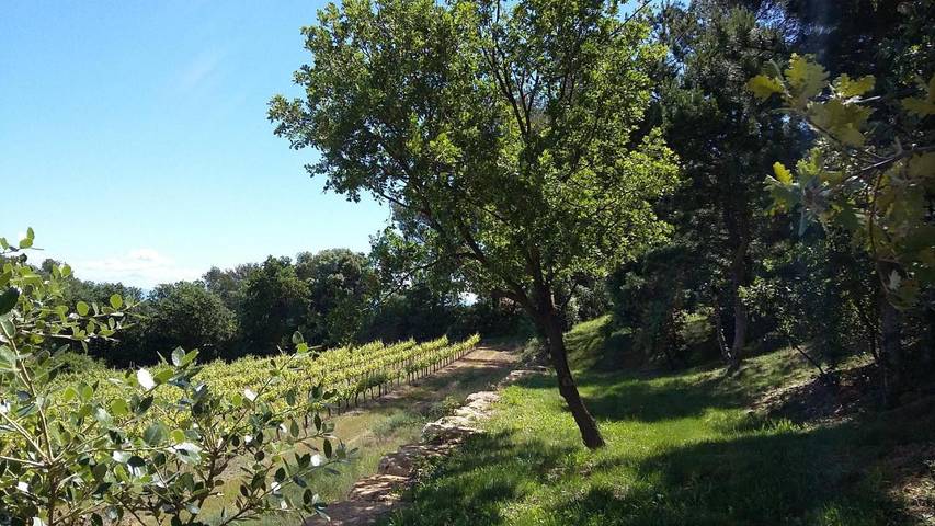 Location de vacances pour 4 personnes, avec vue ainsi que jardin et piscine à Pont-Saint-Esprit - 2