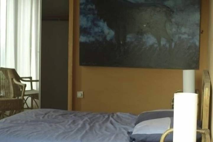 Location de vacances pour 12 personnes, avec terrasse et jardin à Lagord - 3