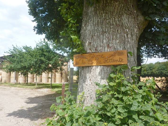 Gîte pour 8 personnes, avec Terrasse ainsi que Jardin et Vue dans Gourchelles