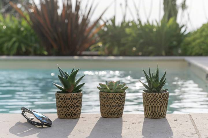 Location de vacances pour 8 personnes, avec Terrasse et Jardin à Orgnac-l'Aven - 2