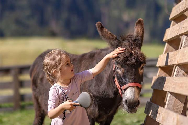 Bauernhof für 6 Personen, mit Garten und Balkon in Österreich - 3