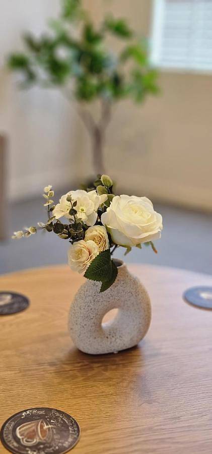 Location de vacances pour 10 personnes, avec vue et terrasse à Ypres - 2