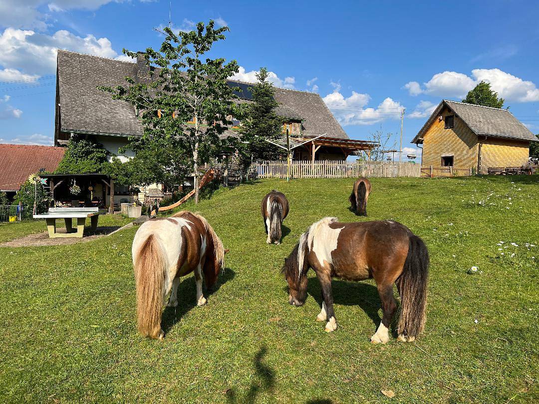 Ganze Wohnung, Ferienwohnung 3 mit gemeinsamer Terrasse, gemeinsamem Garten und Wlan in Bonndorf im Schwarzwald, Südschwarzwald