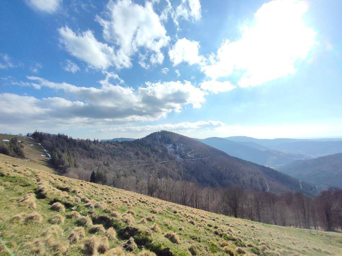 Gîte spacieux à 2 km des pistes de ski in Bussang, Parc naturel régional des Ballons des Vosges