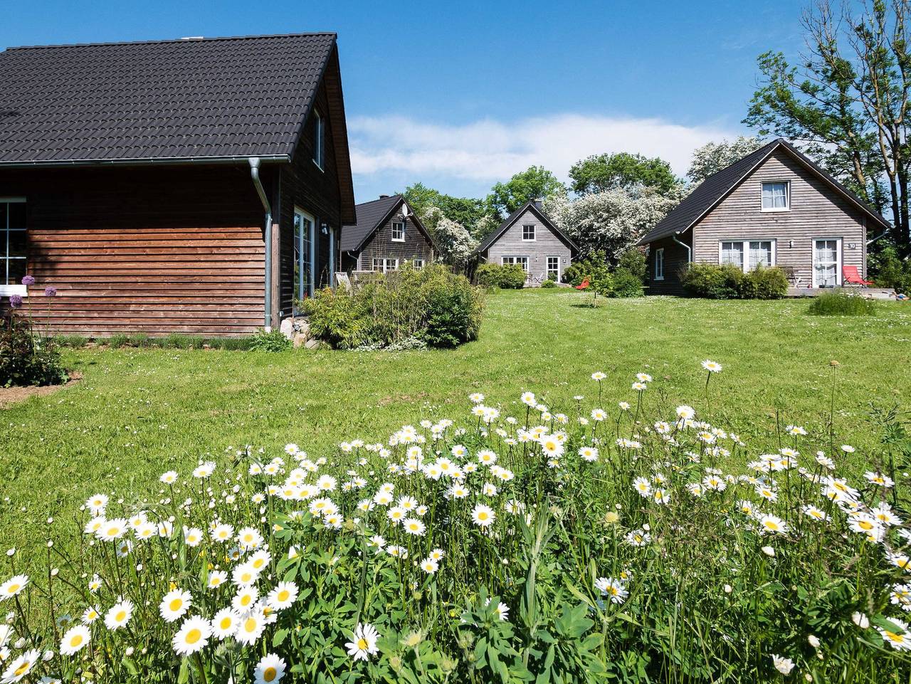 Ganze Ferienwohnung, Schmidt'S Ferienhäuser im Grünen - Ferienhaus 5 in Lüdershagen, Vorpommern