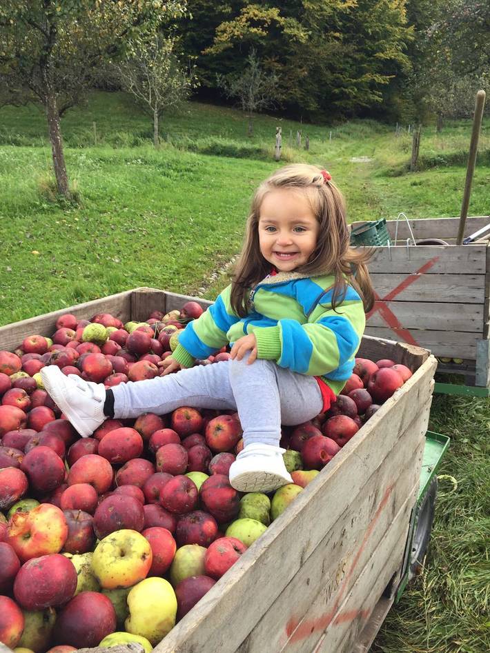 Bauernhof für 2 Personen, mit Garten, mit Haustier am Bodensee - 3