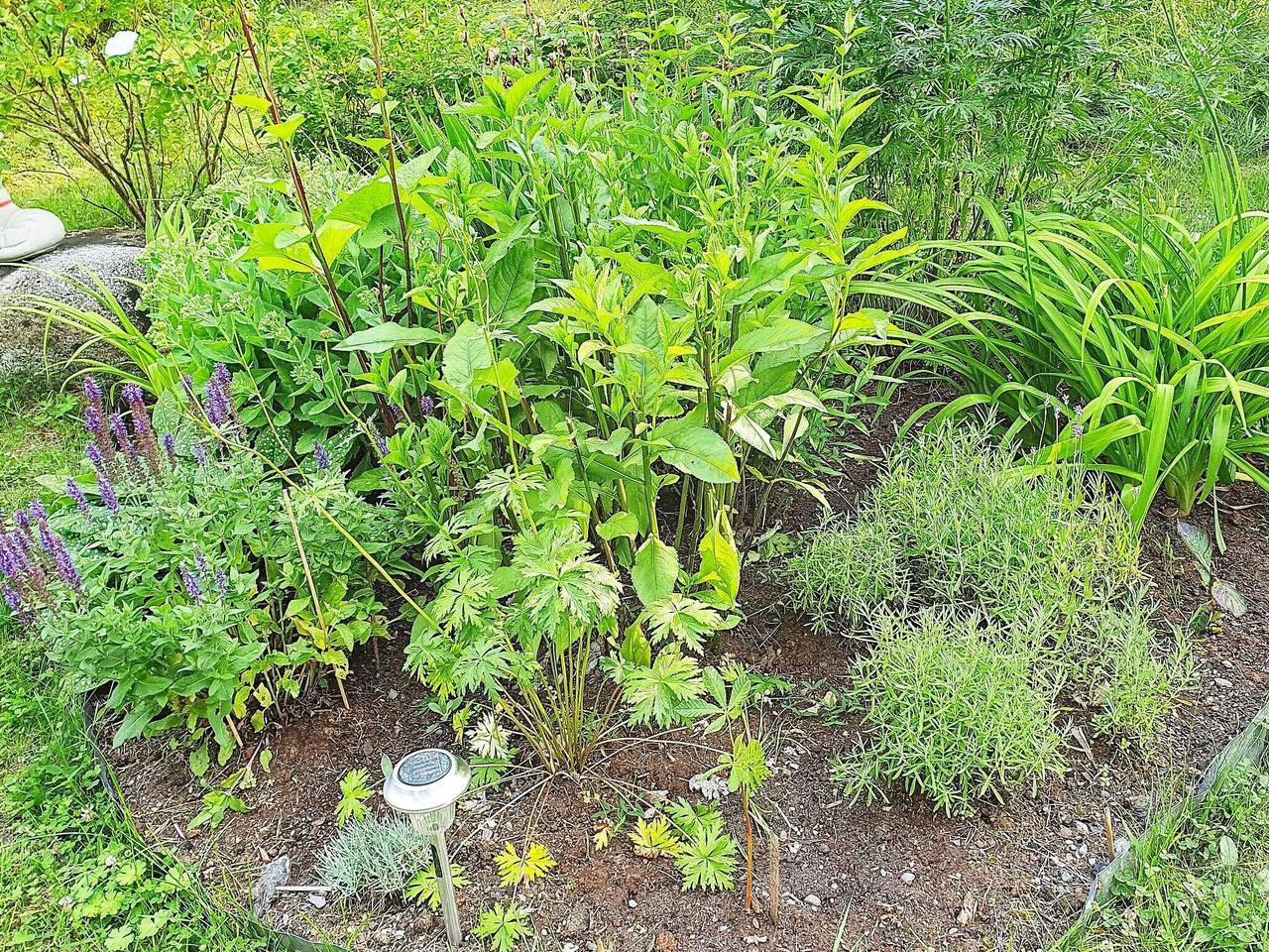 7 Personen Ferienhaus in Blidö in Blidö