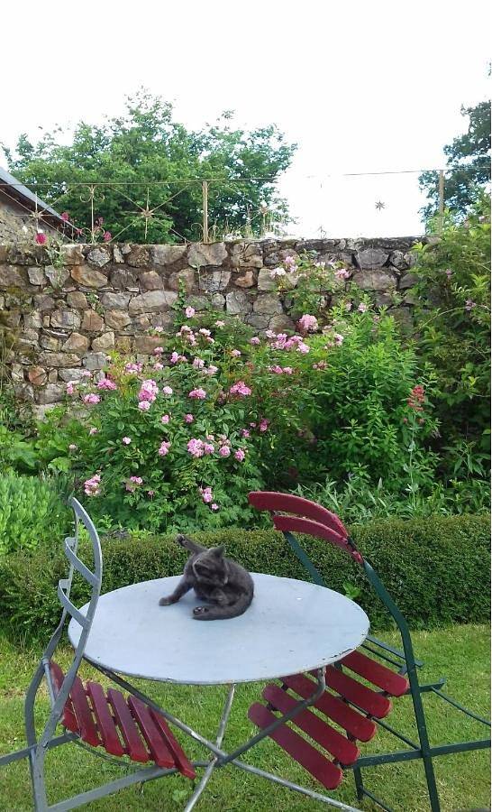 Chambre d’hôte pour 3 personnes, avec terrasse ainsi que vue et jardin, animaux acceptés dans Mayenne - 2