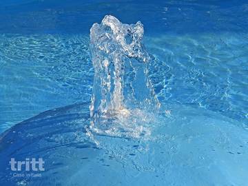 Resort per 6 Persone in Riparbella, Costa degli Etruschi, Foto 3