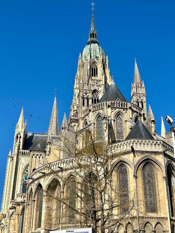 Location de vacances pour 8 personnes, avec terrasse, animaux acceptés à Monceaux-en-Bessin - 3