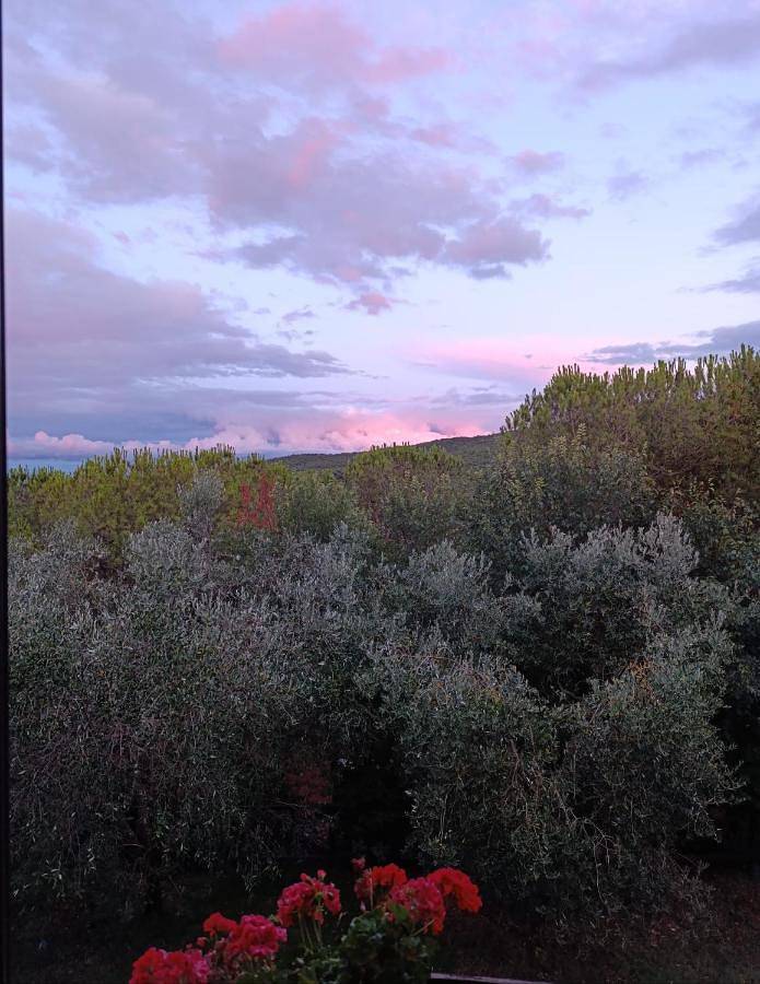Appartamento intero, One-Bedroom Apartment in Chianciano Terme, Siena e dintorni
