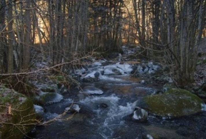 Pension für 2 Personen, mit Garten im Südschwarzwald - 2