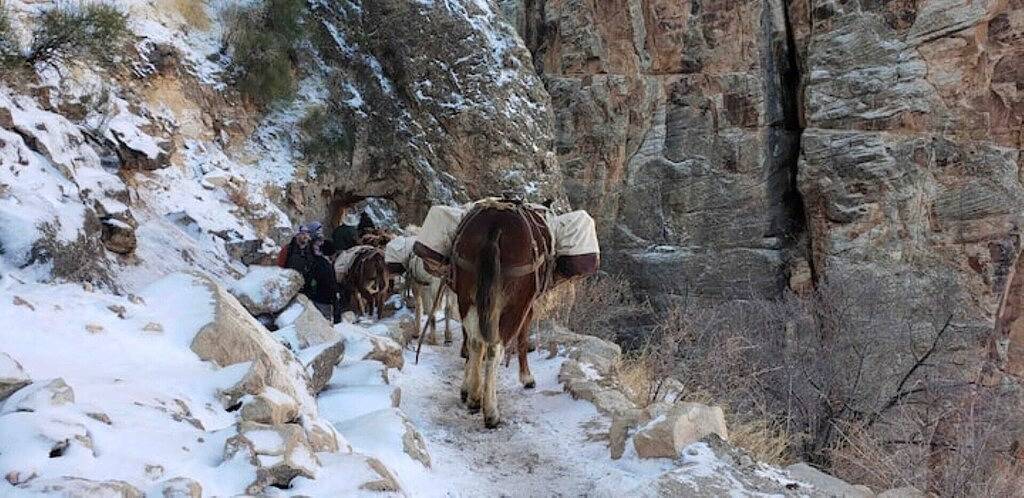 Cottage for 4 People in Coconino National Forest, Coconino County