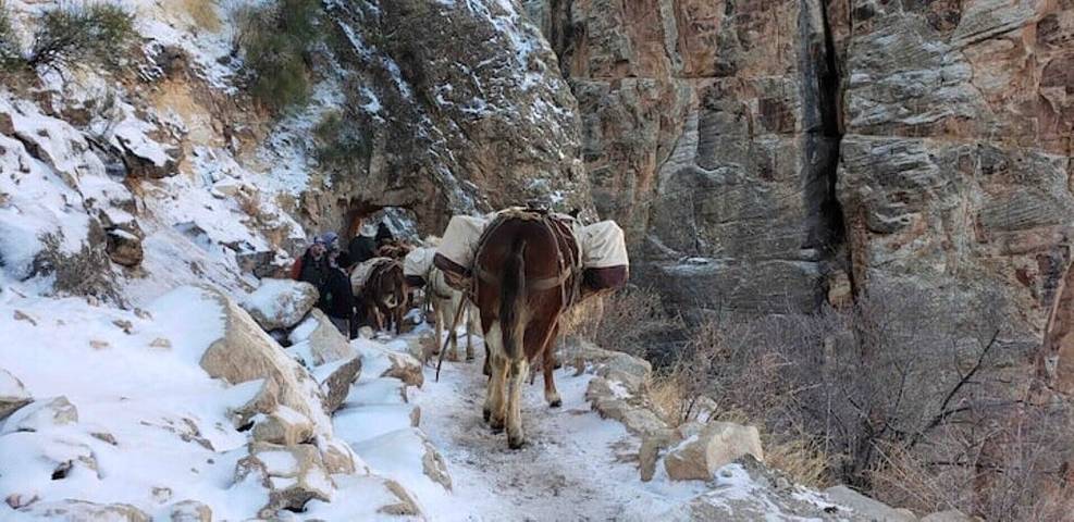 Cabin for 4 people, with terrace in Grand Canyon National Park