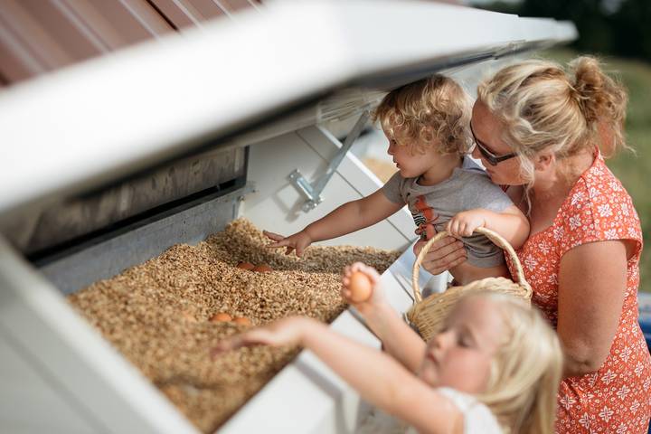 Bauernhof für 4 Personen, mit Garten in Oberfranken - 3