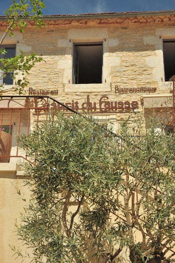 Chambre d’hôte pour 2 personnes, avec sauna ainsi que jardin et jacuzzi, animaux acceptés dans le Lot - 4