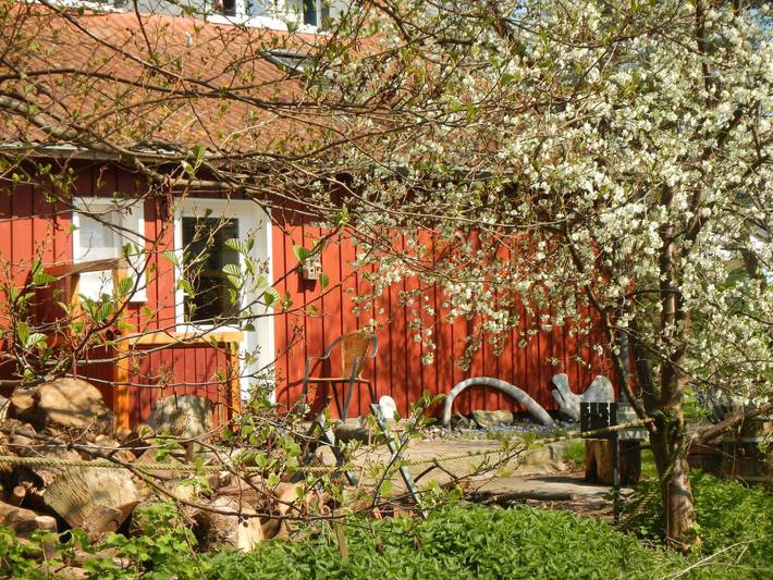 Ferienwohnung für 4 Personen, mit Terrasse und Garten auf Hiddensee - 2