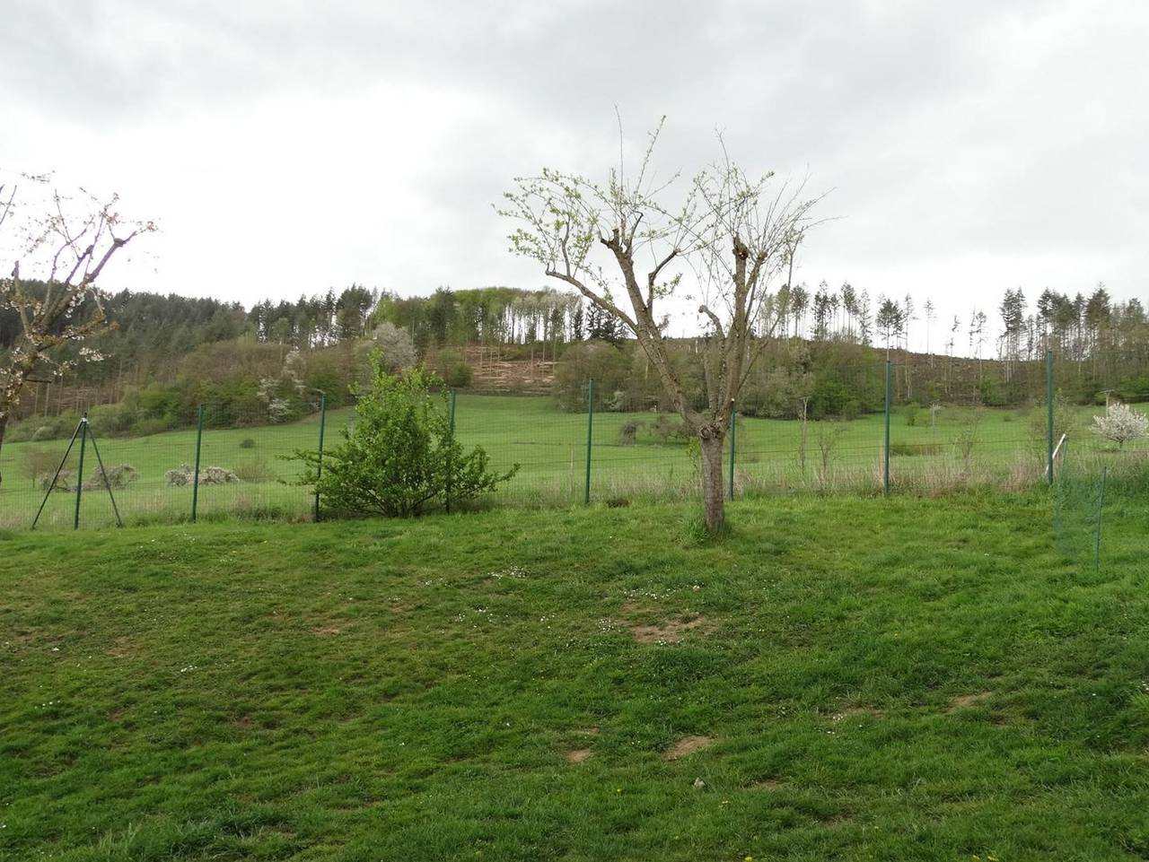 Ganze Ferienwohnung, Ferienwohnung Bunter Hund - Appartement/Fewo, Dusche, Wc, 1 Schlafraum in Hausen (Wied), Rheinland-Pfalz