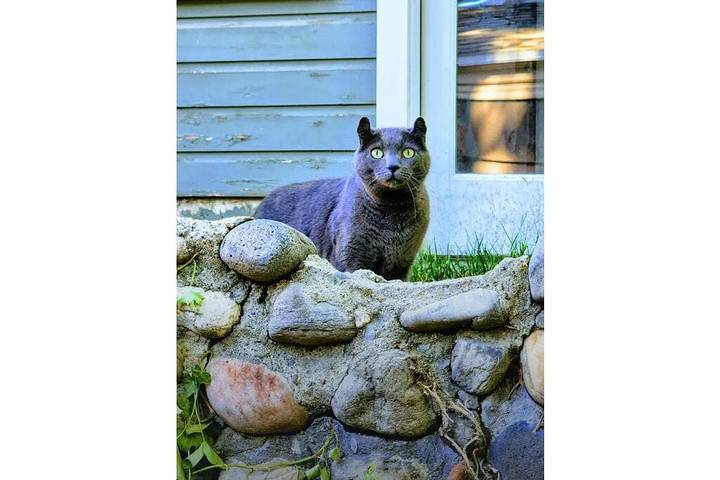 Vacation rental for 6 people, with terrace, with pets in Salt Lake City