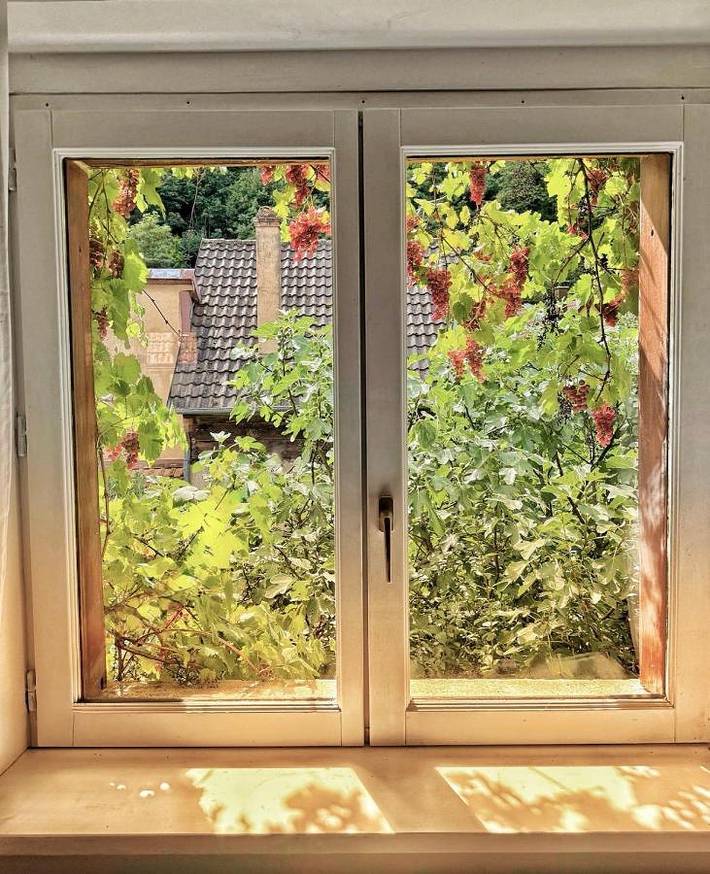 Gîte pour 4 personnes, avec vue ainsi que terrasse et jardin à Andlau - 2