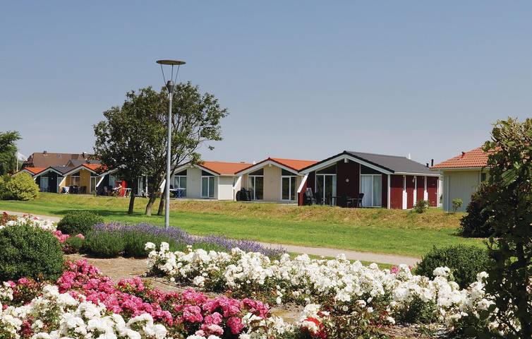 Ferienhaus für 6 Personen, mit Terrasse und Sauna in Friedrichskoog - 3