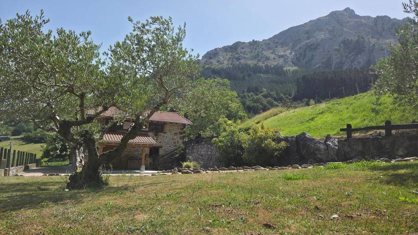 Casa rural para 5 personas, con Terraza además de Jardín y Vistas en Gorbeia - 3