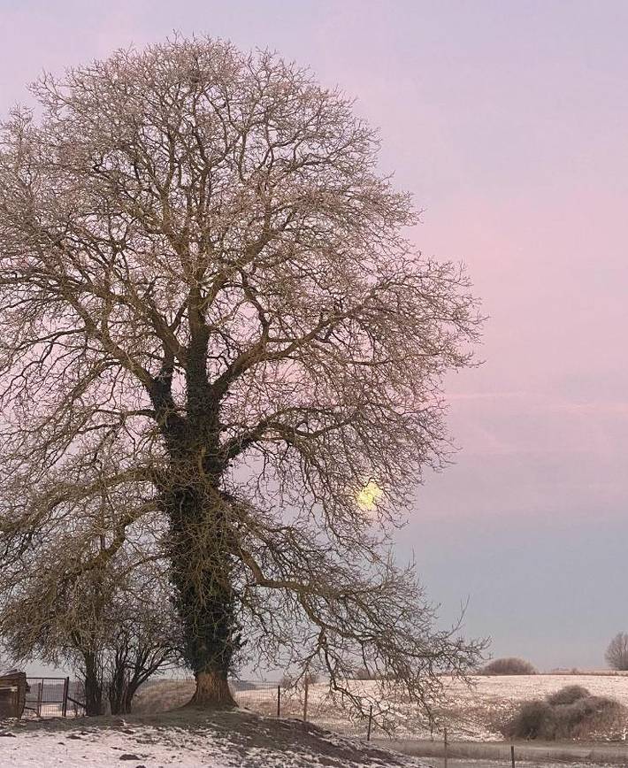 Location de vacances pour 4 personnes, avec vue et jardin à Mettet - 2