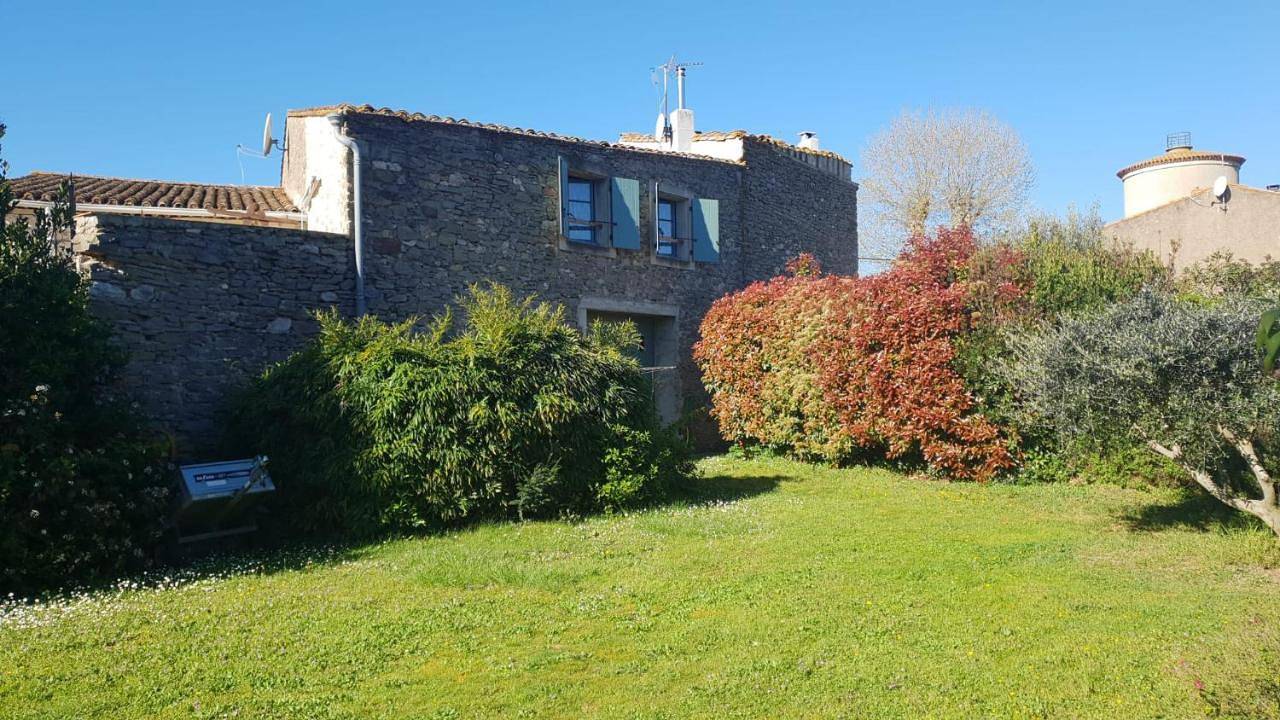Chambres d'hôtes Sous L'Olivier in Trausse, Région de Carcassonne