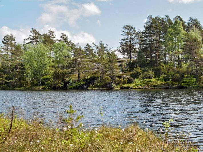 9 Personen Ferienhaus in Bjelland in Marnardal